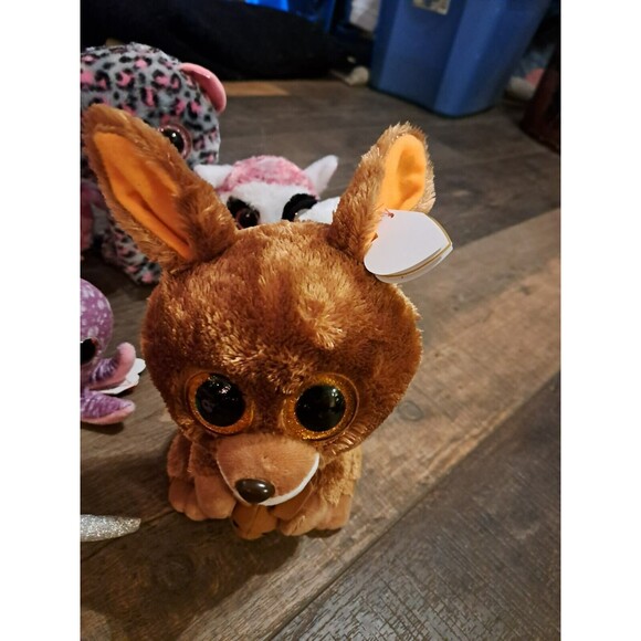 Stuffed animal, stuffie, TY Beanie Boos - KIPPER Brown Kangaroo 21 TOTAL - Picture 3 of 10